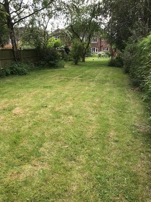 Photo 39- click for photo gallery